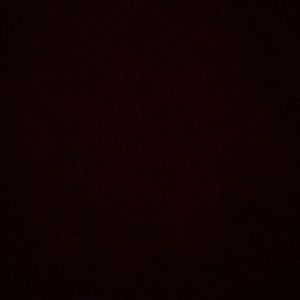 Meet your Posher, Susannah